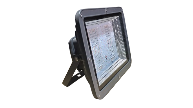 BACK CHOWK FLOOD LIGHT 