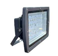 LENS FLOOD LIGHT