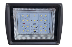 LENS FLOOD LIGHT